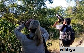 Lokasi Birding Terbaik di Dunia